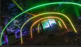 Beamish Hall Forest of Light 1