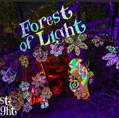 Beamish Hall Forest of Light 2