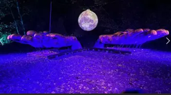 Beamish Hall Forest of Light 3