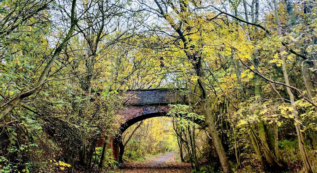 wynyard woodland park