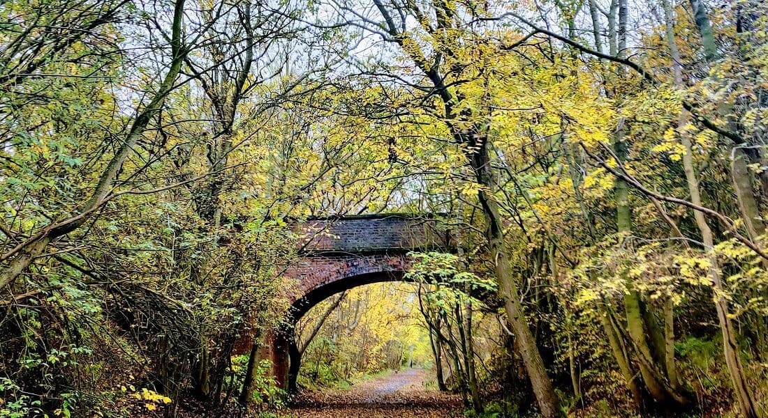 wynyard woodland park