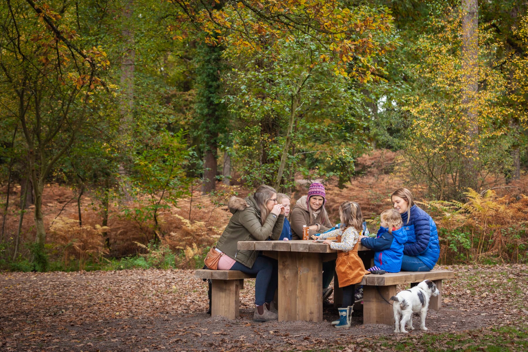 Hamsterley Forest 4