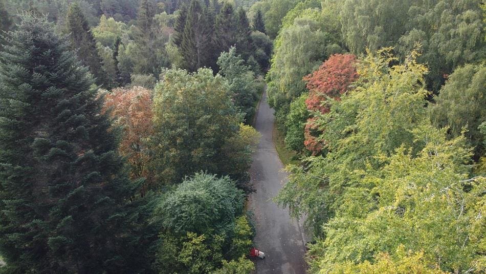 Hamsterley Forest Main