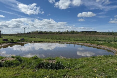 8cafa93b 5d9f 467d a915 d0dc807f66d5.jpg