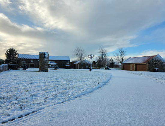 snow pics 1